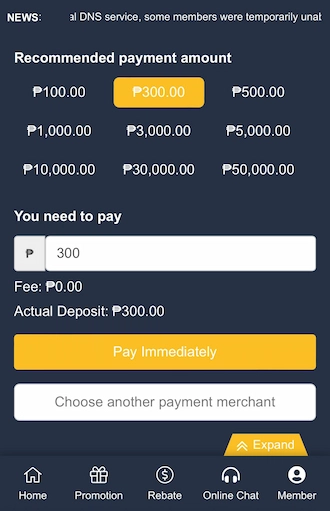 Step 2: Select the recommended payment amount.