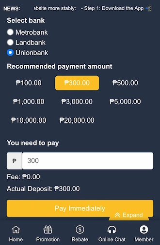 Step 2: enter the suggested deposit amount.