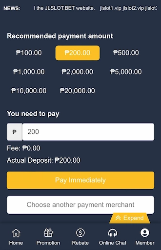 Step 2: Select the recommended payment amount.