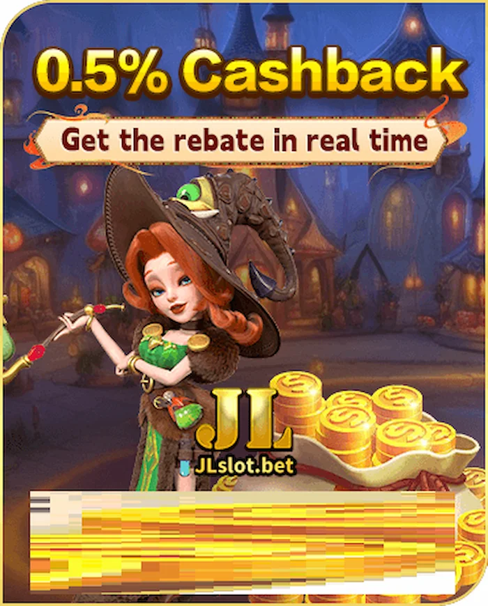 0.5%  Cashback