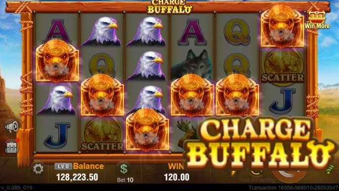 Slot Betting, Fishing & Poker Bonuses: Big Player Bonuses