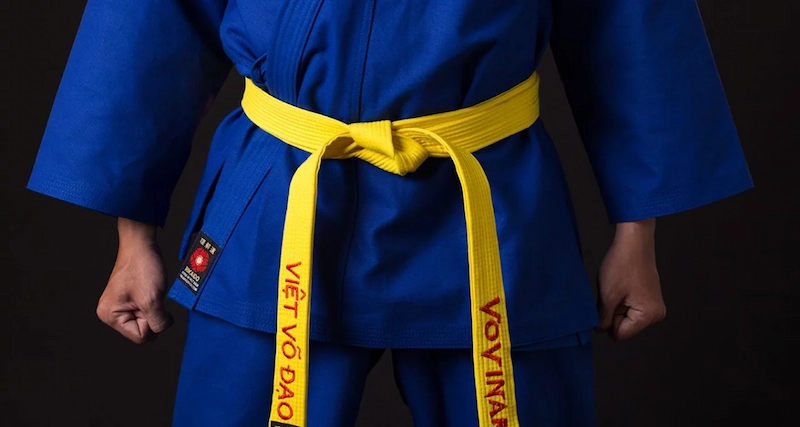 Explore the belt ranks in vovinam