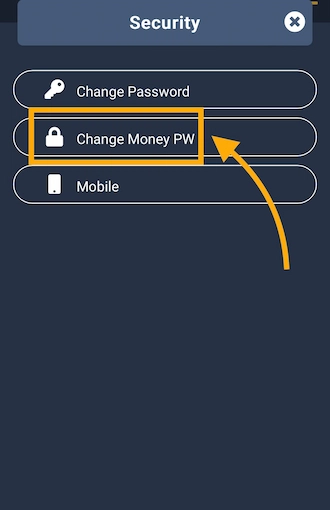 Step 2: select "Change Money PW".